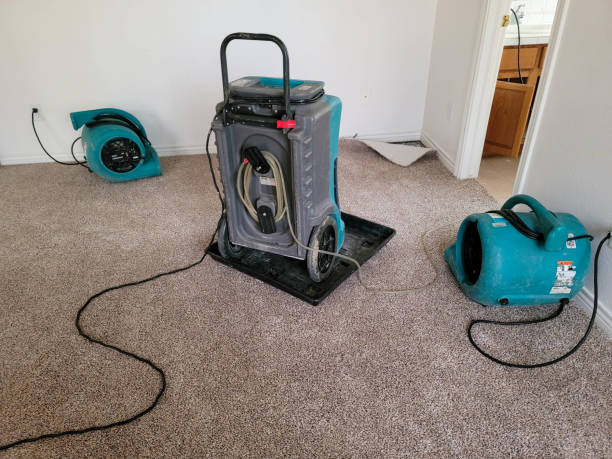 Best Water damage restoration services  in Capitol View, SC