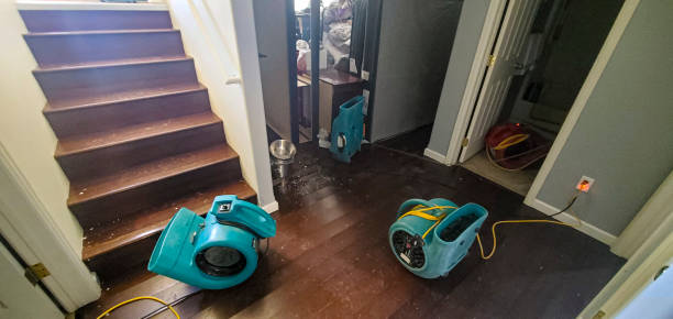 Best Sewage cleanup and water damage restoration  in Capitol View, SC