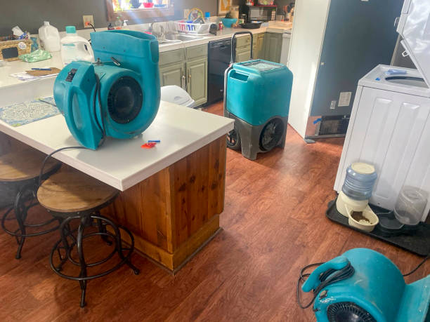 Best Basement water damage restoration  in Capitol View, SC