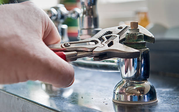 Best Professional water damage repair  in Capitol View, SC