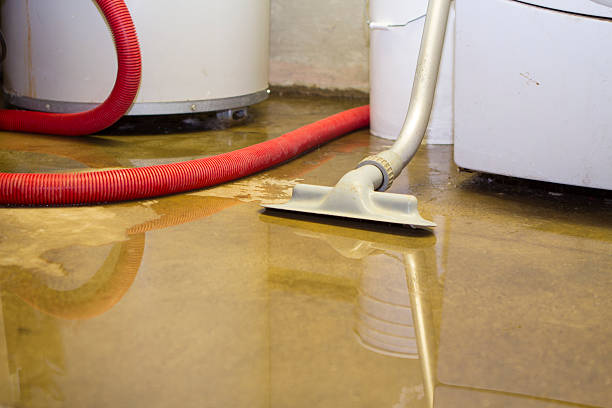 Best Water damage restoration cost  in Capitol View, SC