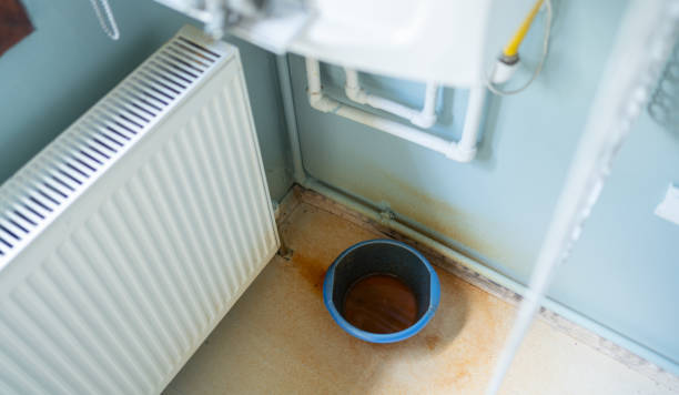 Best Fire Damage Restoration  in Capitol View, SC