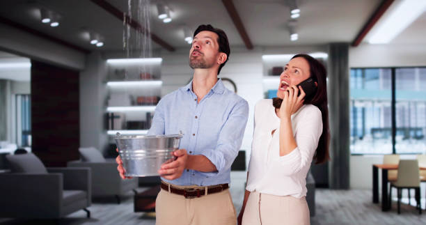 Best Flooded house restoration  in Capitol View, SC