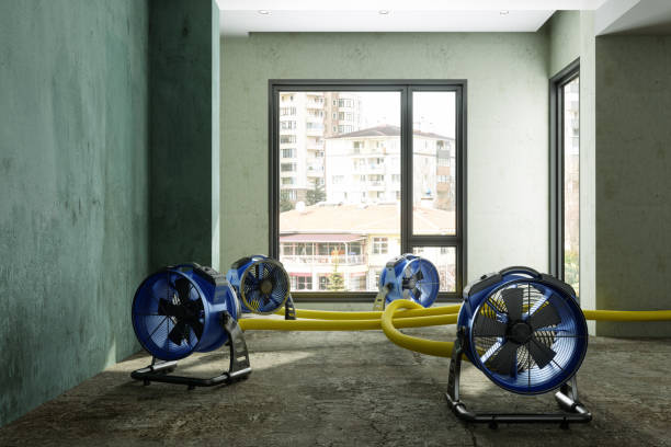 Best Commercial water damage restoration  in Capitol View, SC